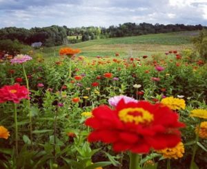 7 Pick-your-own Pittsburgh Farms Where Kids Can Eat The Rainbow ...