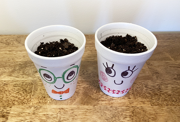 DIY - Cress cups with a face