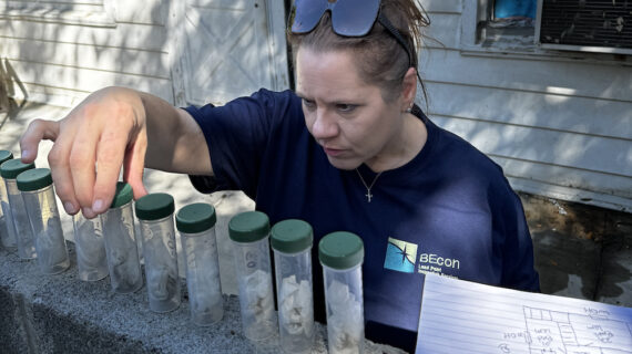 lead testing allegheny county